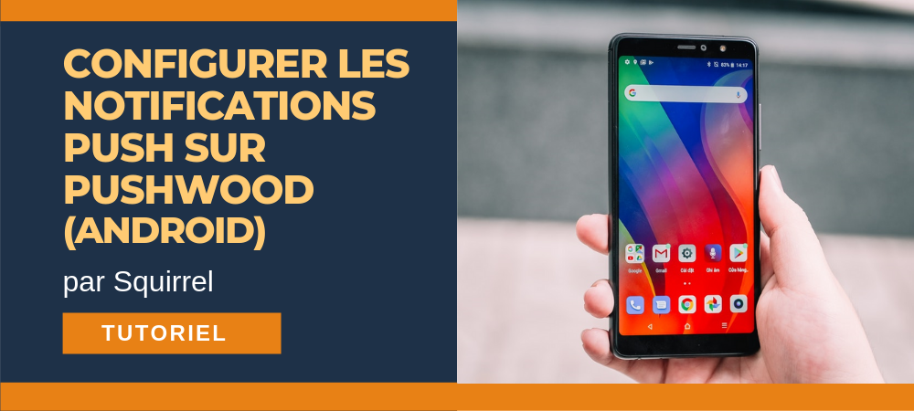 configurer notifications pushwood android