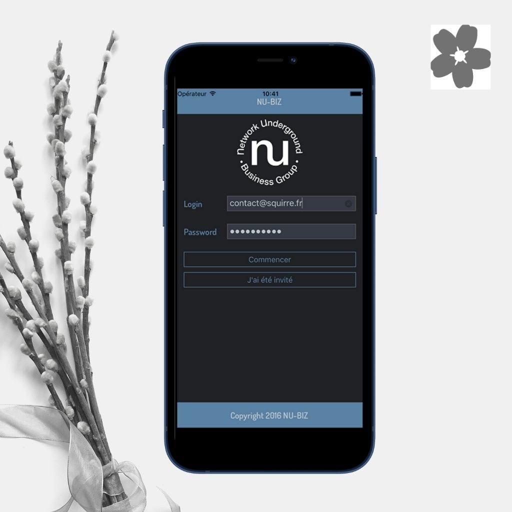 Se connecter sur Nu-Biz