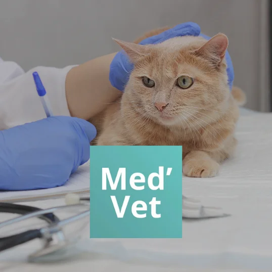 medvet