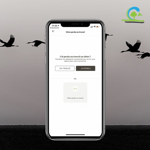 retrouver son chien grâce à applichasse
