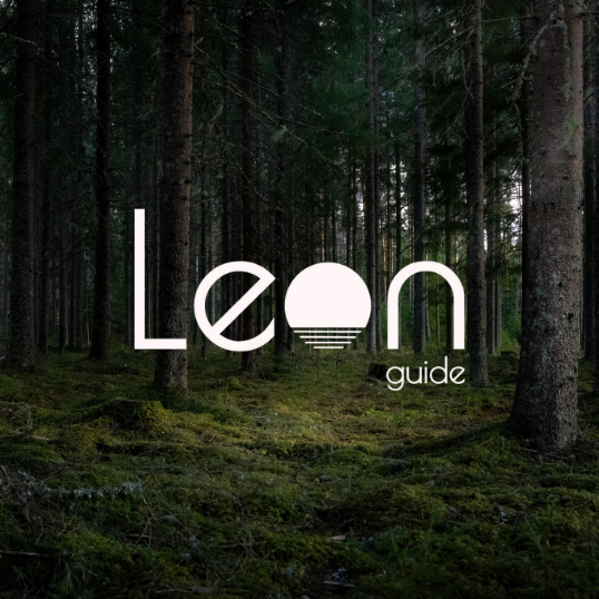 application-mobile-leon-squirrel