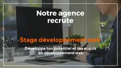 stage-developpement-web-agence-squirrel