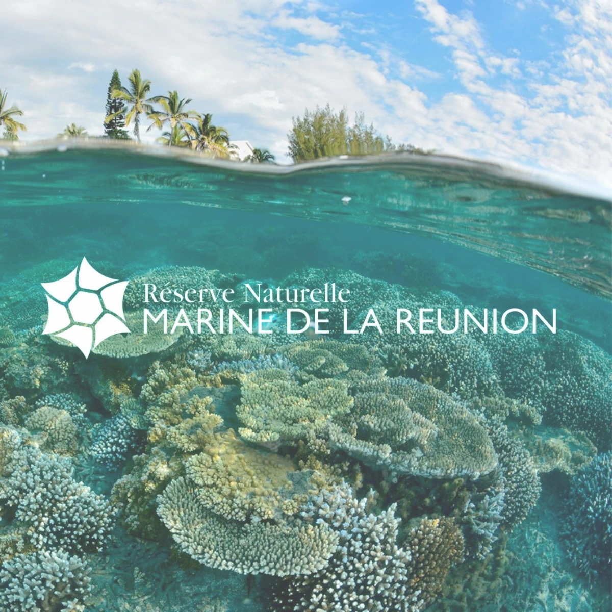 application mobile reserve marine