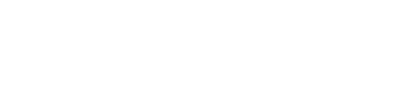 Agence digitale Squirrel